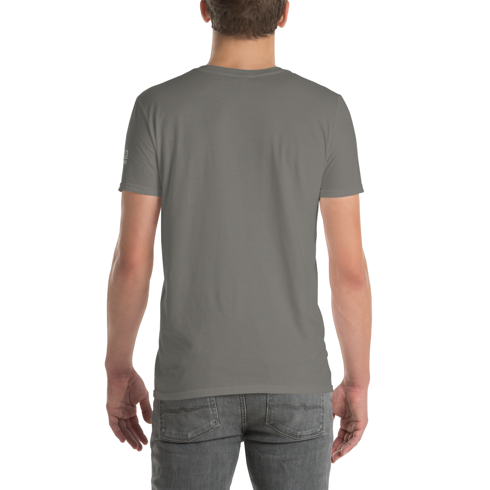 unisex-basic-softstyle-t-shirt-charcoal-back-696b36922584b.png