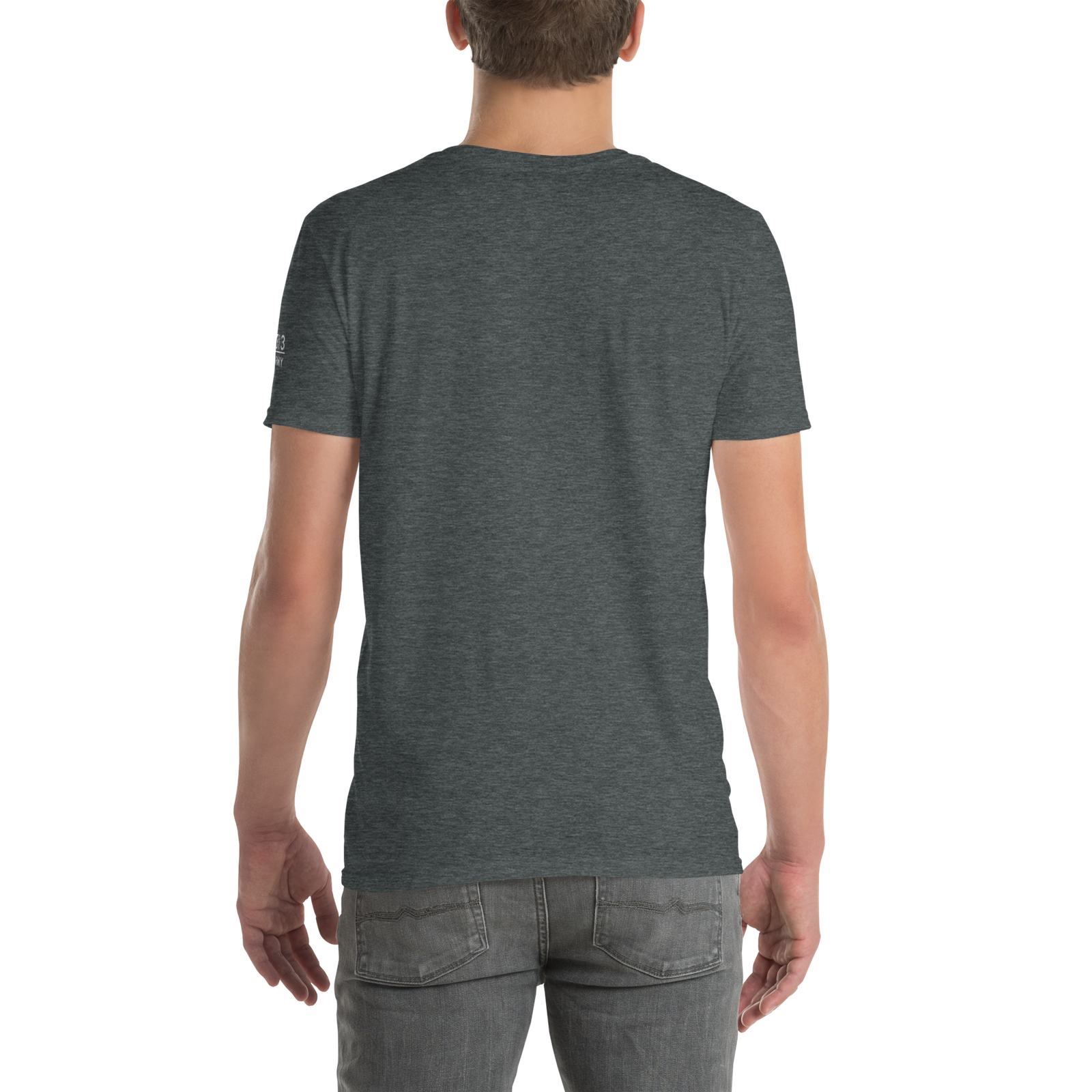 unisex-basic-softstyle-t-shirt-dark-heather-back-696b3691402ac.png