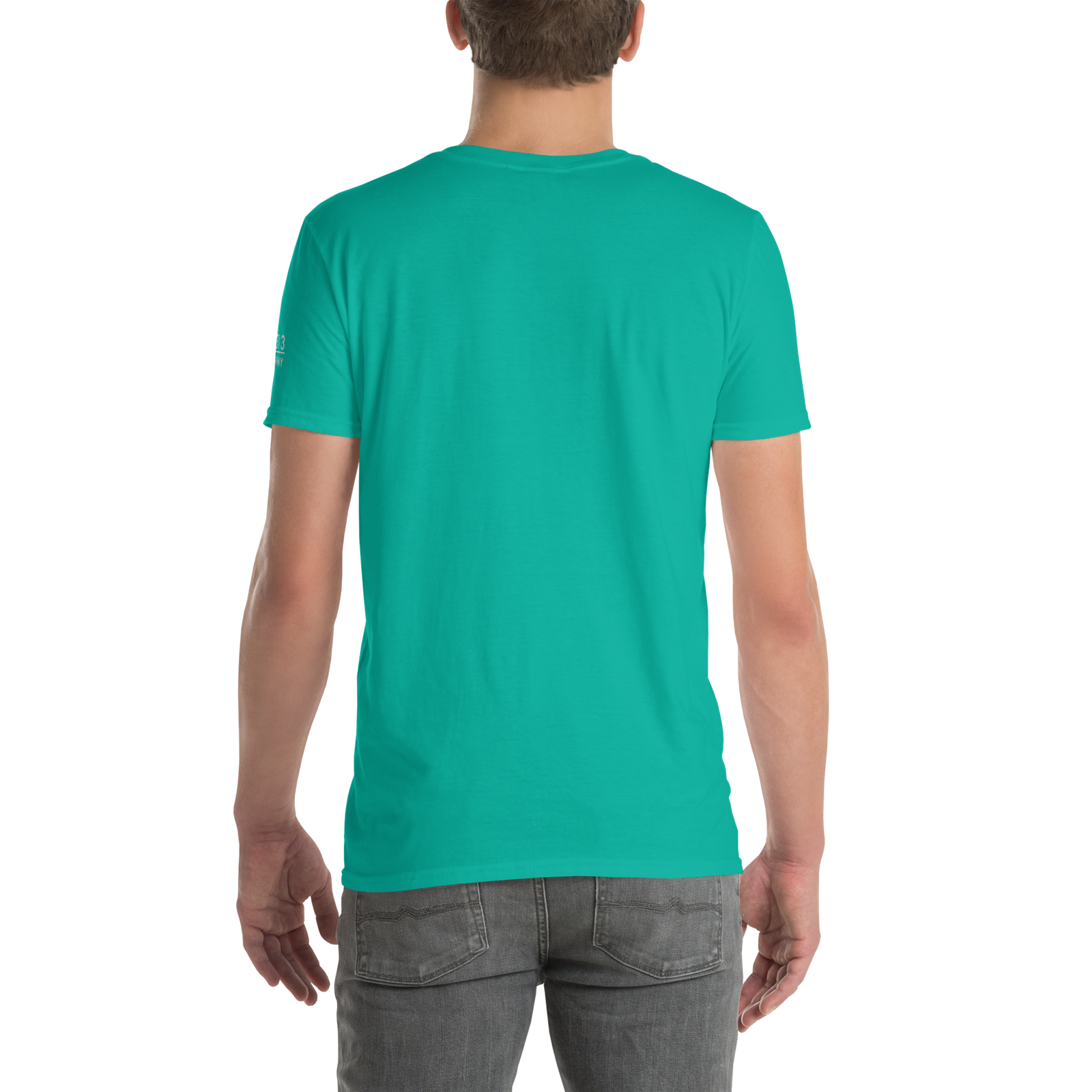 unisex-basic-softstyle-t-shirt-jade-dome-back-696b36929363d.png