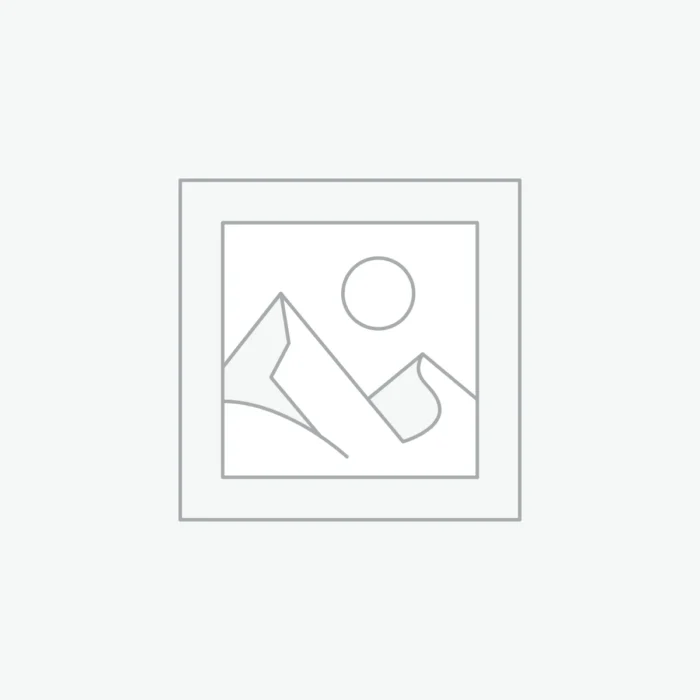 Abal Fadl Al-Abbas (3)